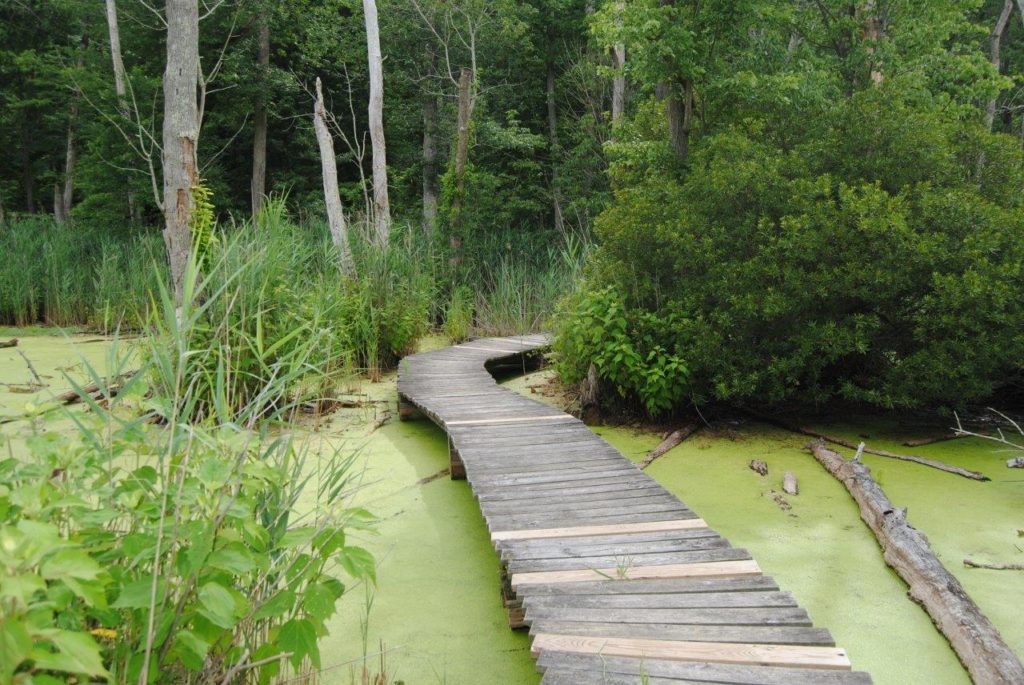 Flag Ponds Nature Park, Maryland Fred & Susan Rexroad